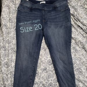 Blue Jean Jeggings